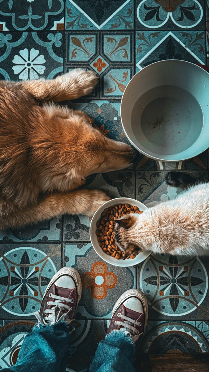 Luylula Documental 1