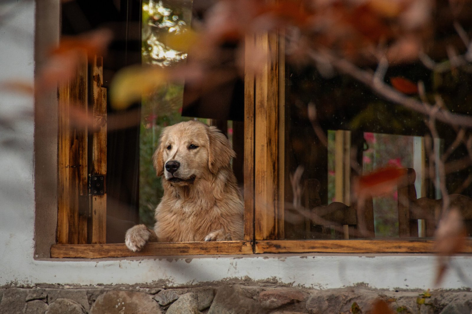 Luylula Documental 10