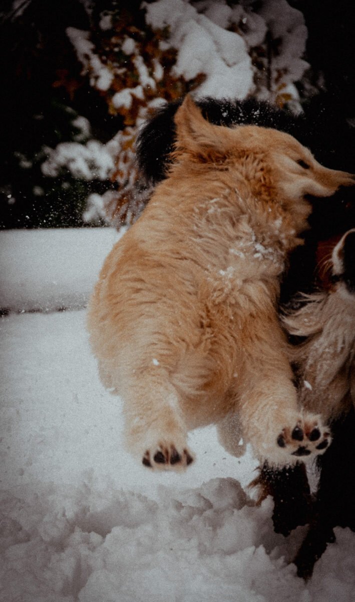 Luylula Documental 20