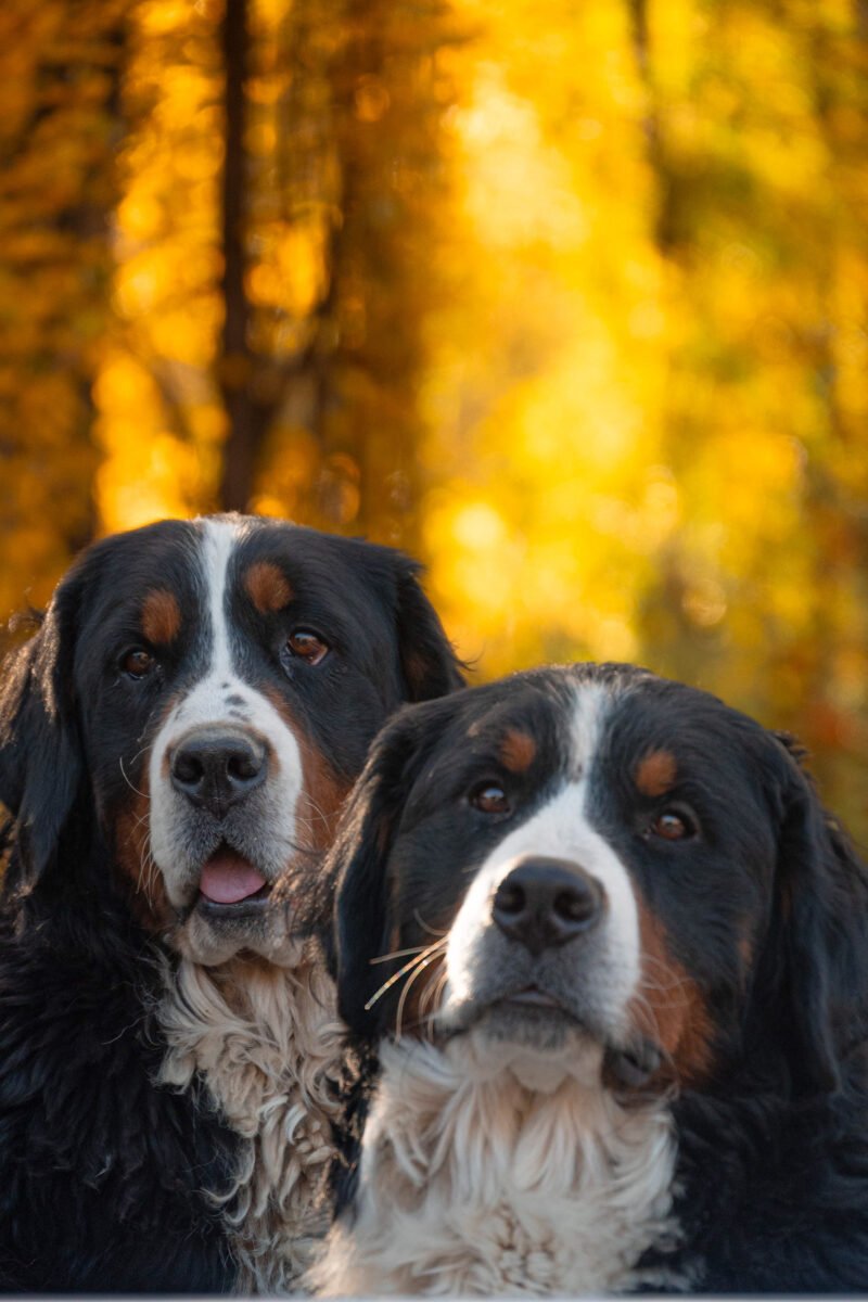 Luylula Documental 26