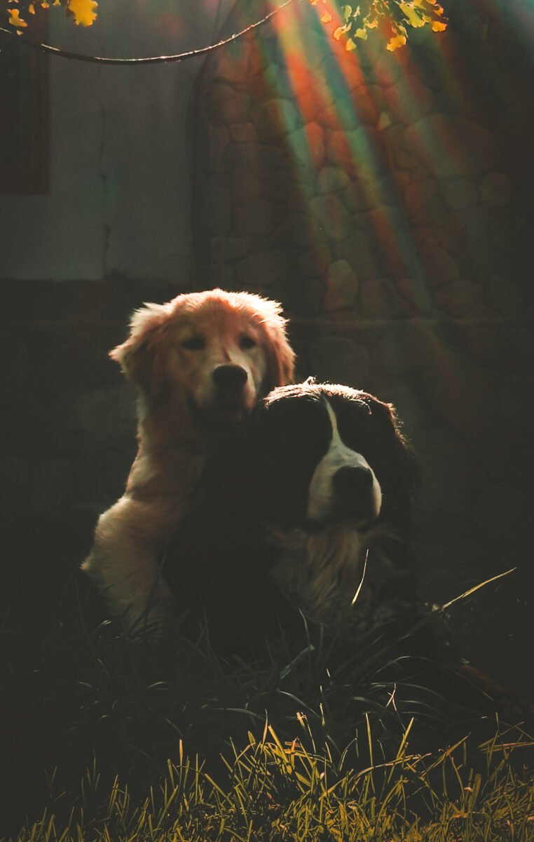 Luylula Documental 30