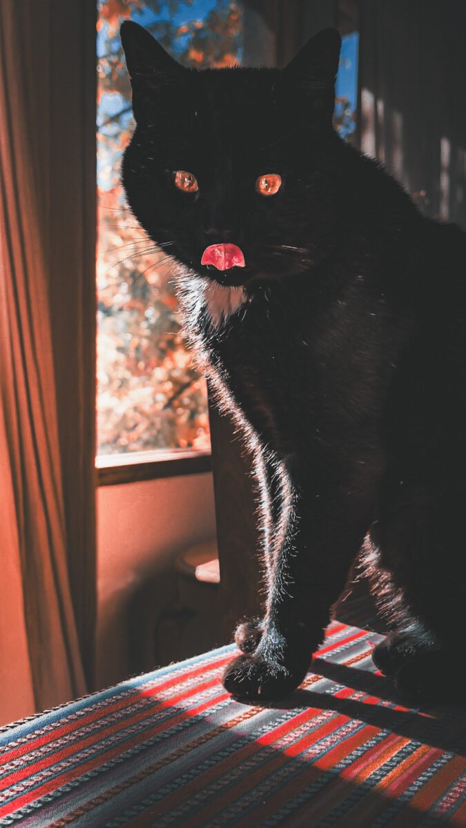 Luylula Documental 31