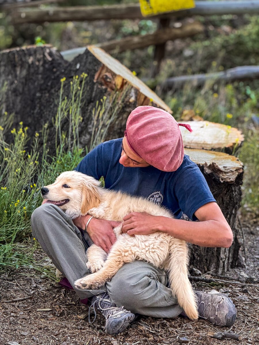 Luylula Documental 36