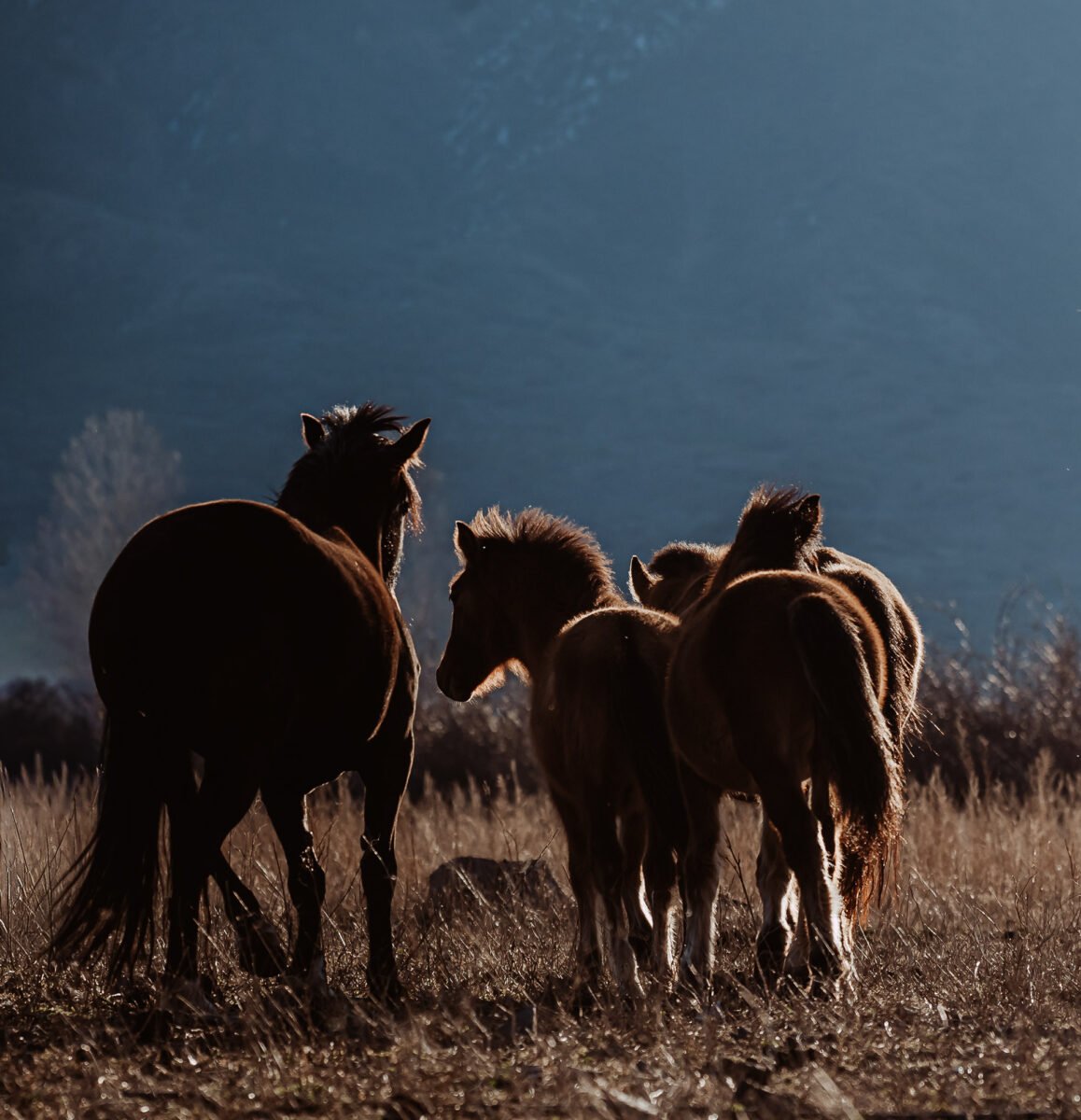 Luylula Documental 38