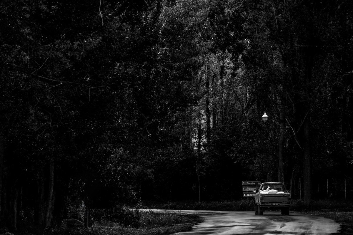 Luylula Documental 42