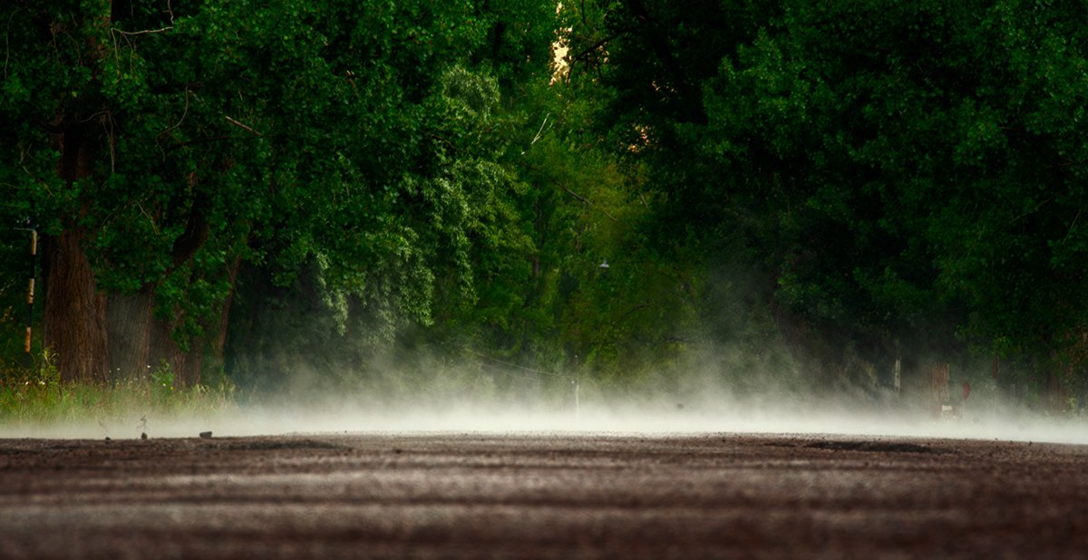 Luylula Documental 43