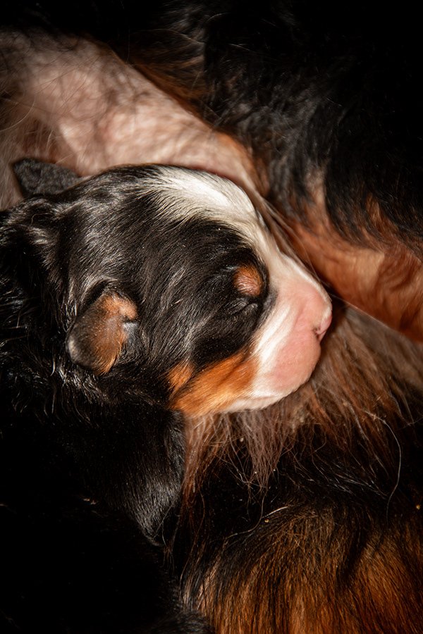 Luylula Documental 44