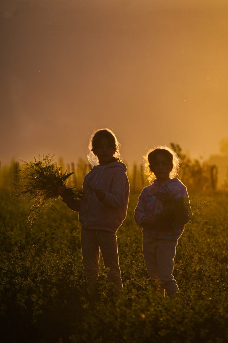 Luylula Documental 7