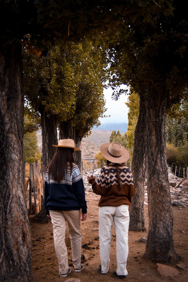 Luylula Proyectos Personales 40