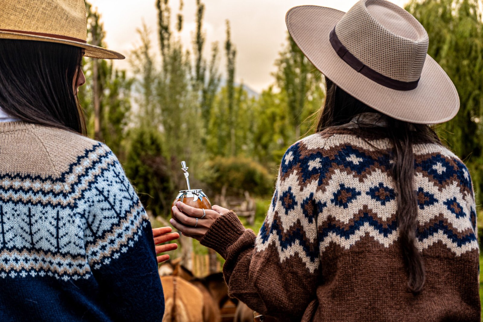 Luylula Proyectos Personales 41