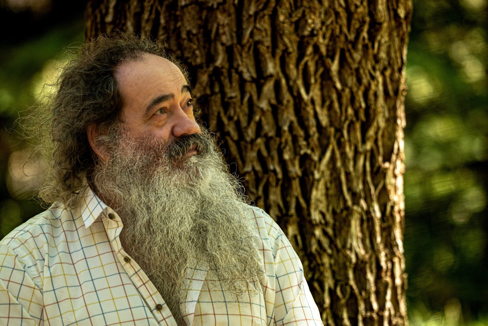 Luylula Proyectos personales 19