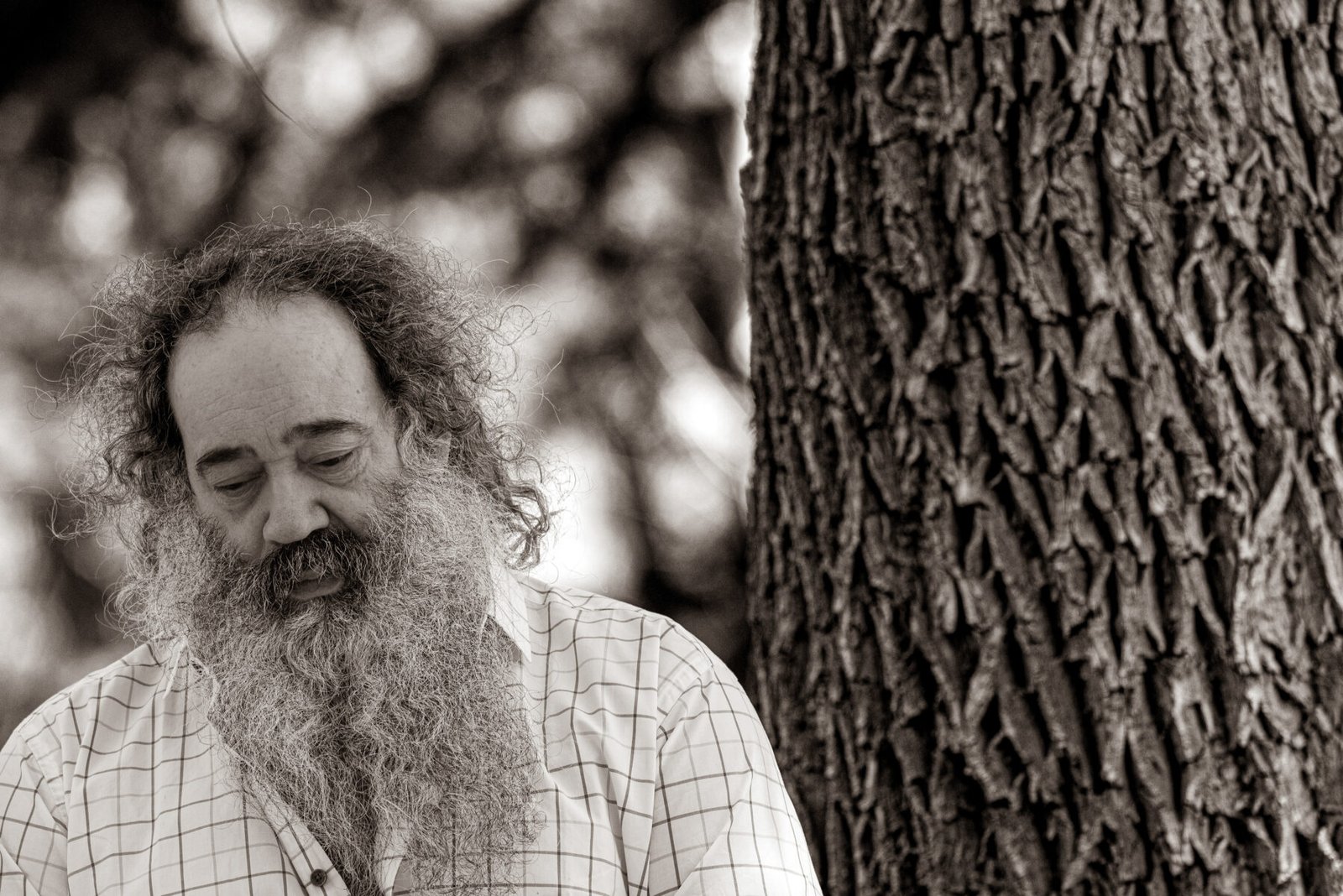 Luylula Proyectos personales 20