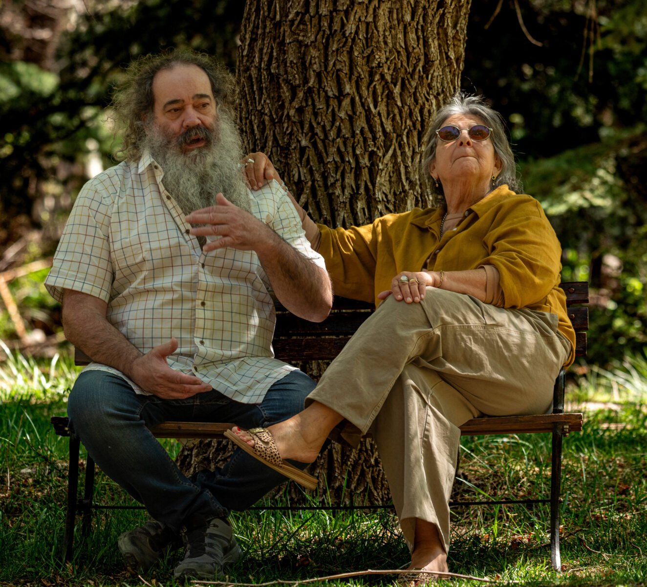 Luylula Proyectos personales 22