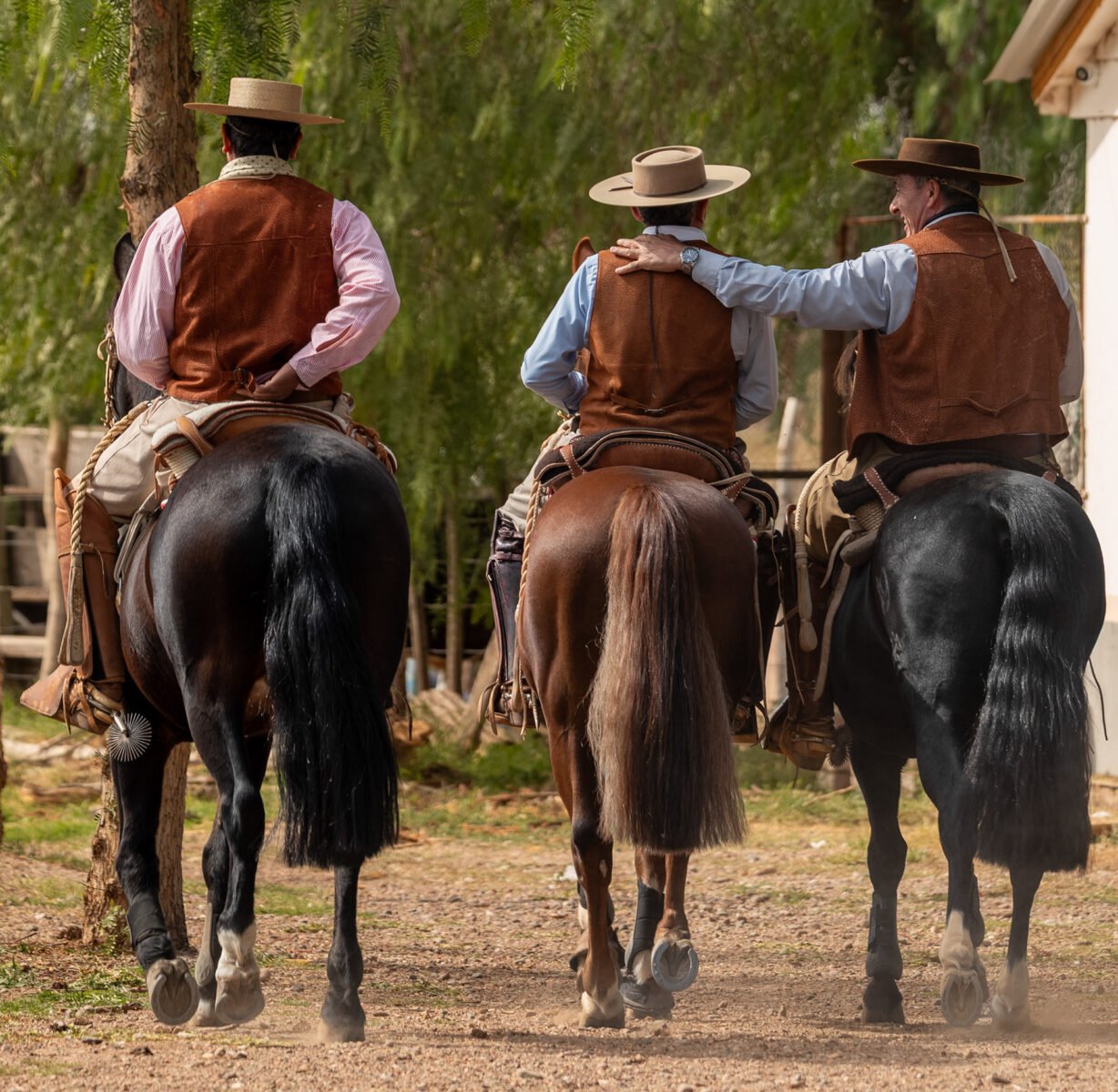 Luylula Tradición 10