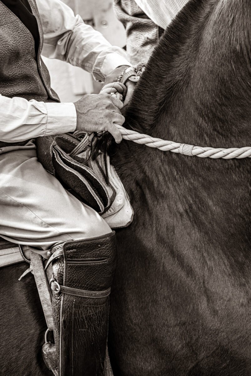 Luylula Tradición 16