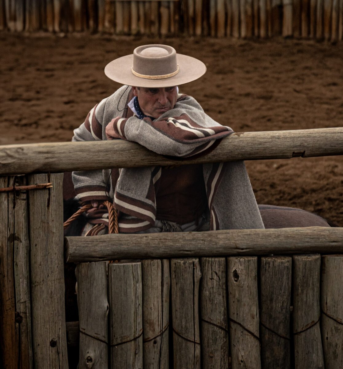 Luylula Tradición 5