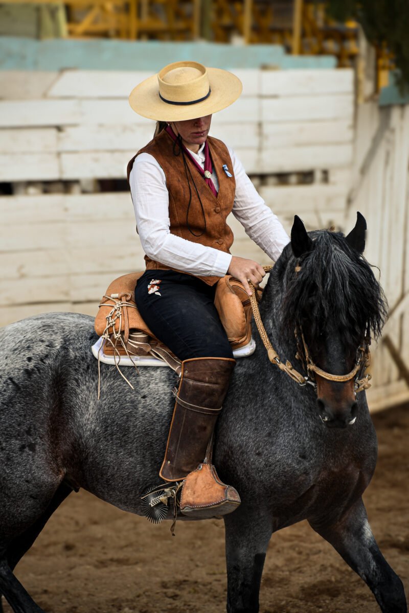 Luylula Tradición 6