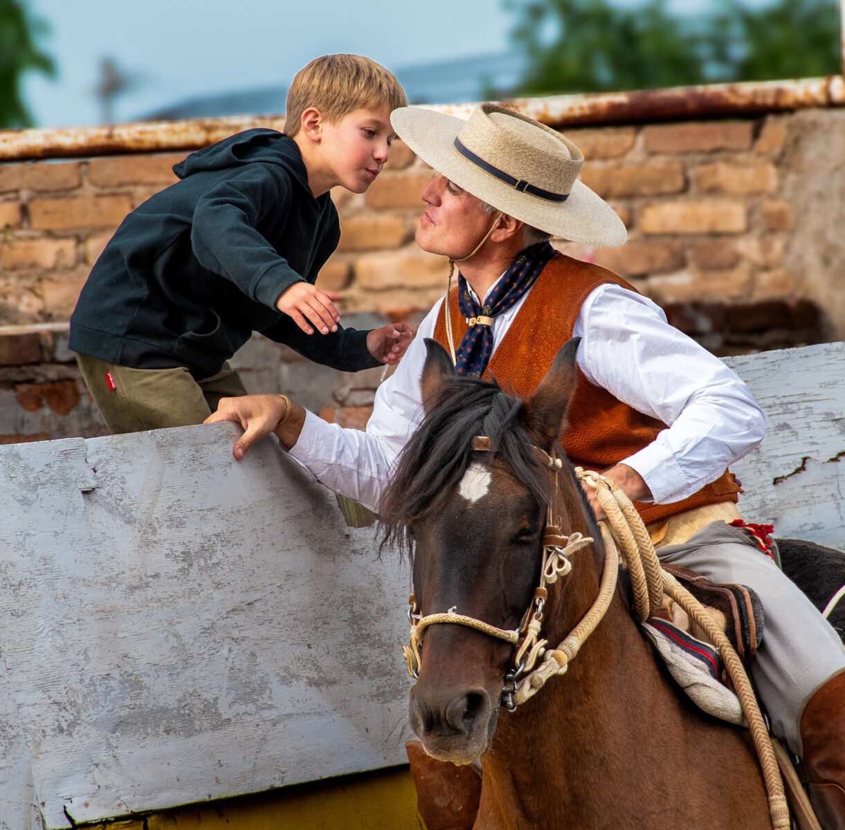Luylula Tradición 7